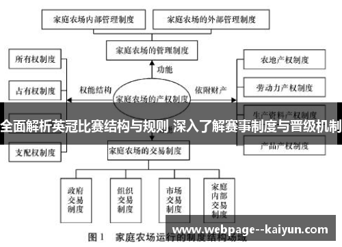 全面解析英冠比赛结构与规则 深入了解赛事制度与晋级机制